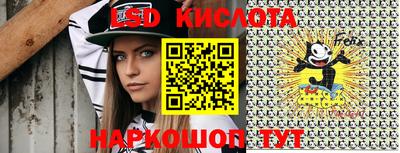 индика Бердск
