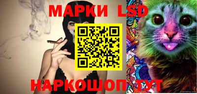 индика Бердск