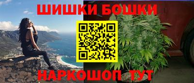 индика Бердск